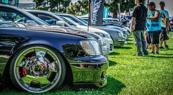 Découvrez les meilleurs produits naturels pour cheveux bouclés !